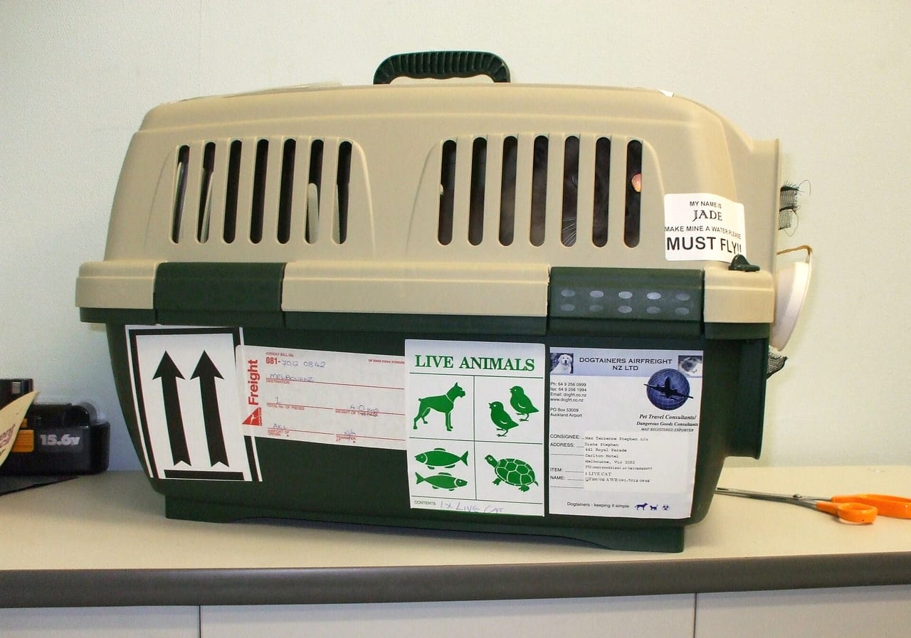 Pet carrier crate with the door open