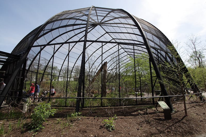 Bird cage with perches and feeders