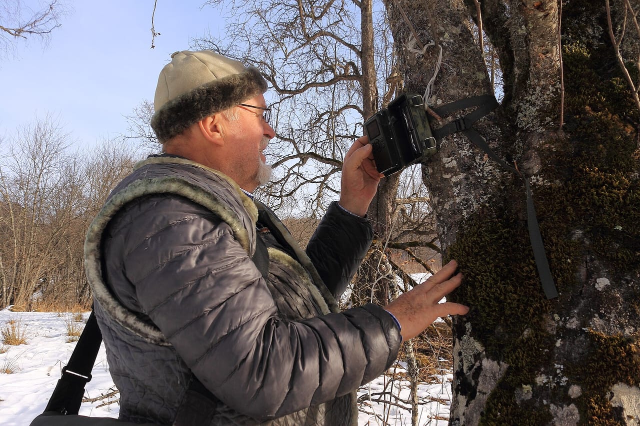 Camera trap strapped to a tree trunk