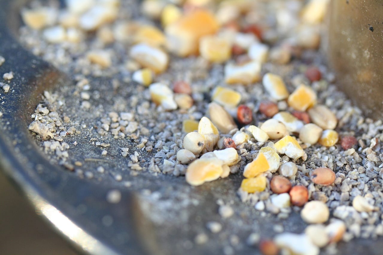 Bowls of seeds, pellets and chopped vegetables