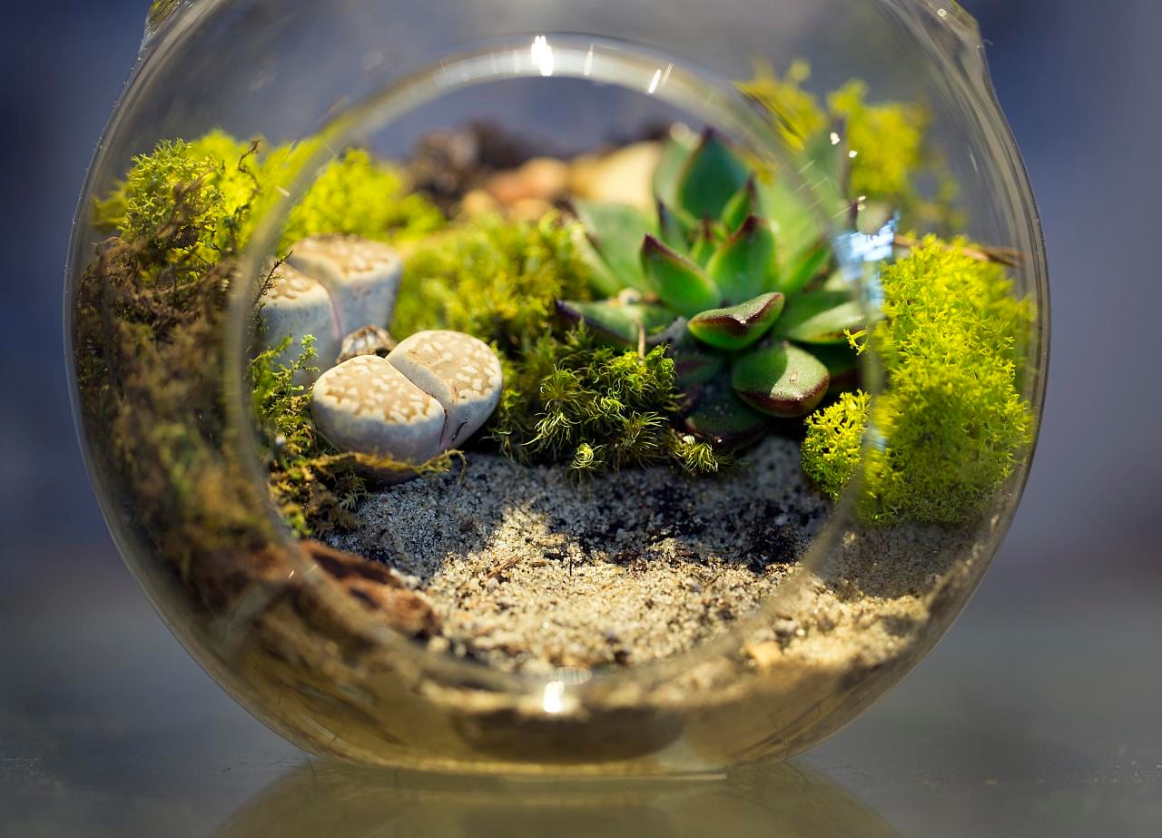 Reptile terrarium with heat lamp and basking area